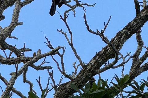 Iguassu Falls: 2-Days Private Tour Brasil & Argentina