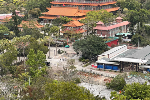 From Hong Kong: Lantau Island Private Car Tour w/ Cable Car Executive Car with Private Cabin