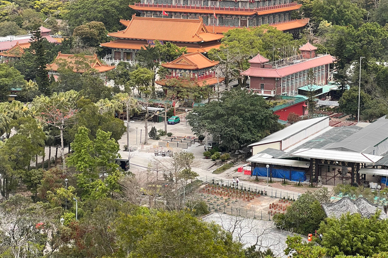 From Hong Kong: Lantau Island Private Car Tour w/ Cable Car Executive Car with Private Cabin