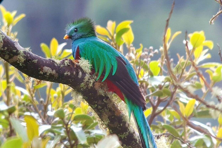 Explore Costa Rica: 4 Days, 3 Volcanoes, 4 Beaches, All Inclusive Explore Costa Rica: 4 Days, 3 Volcanoes, 4 Beaches, All-Inclusive