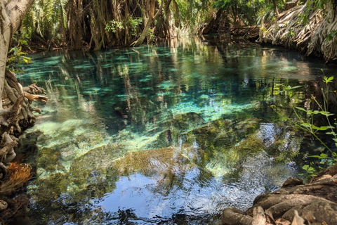 Tour delle sorgenti termali di Moshi/Arusha kikuletwa