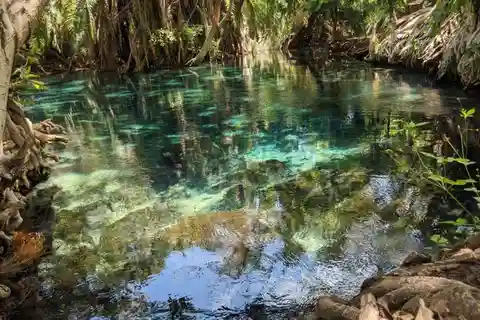 Excursão às termas de Moshi/Arusha kikuletwa