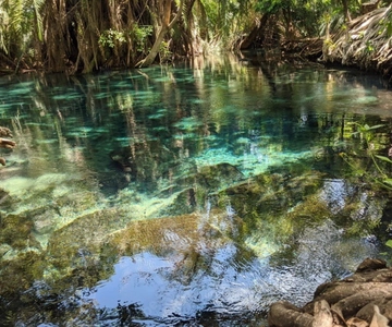 Moshi/Arusha kikuletwa Hot Springs Tour
