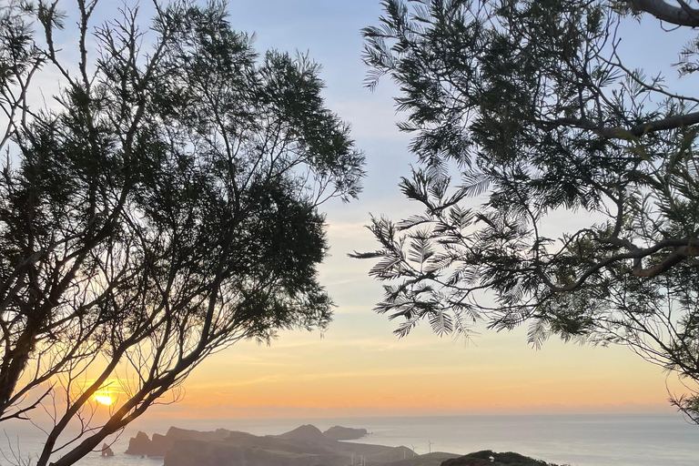 Madeira: Private Remote Sunrise & Eastside Wonders 4x4 Tour