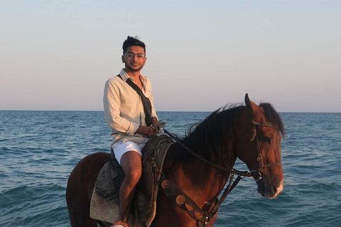 Antalya : équitation en bord de mer et dans la forêtAntalya : Balade à cheval en bord de mer et en forêt