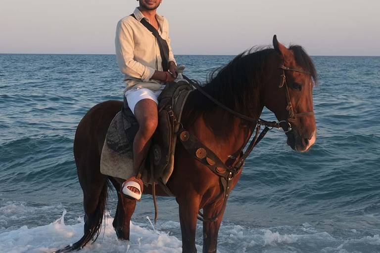 Antalya : équitation en bord de mer et dans la forêtAntalya : Balade à cheval en bord de mer et en forêt