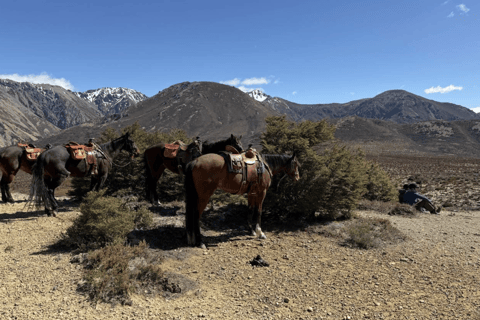 Hanmer Springs: Epic Half-Day Horseback Trekking in St James