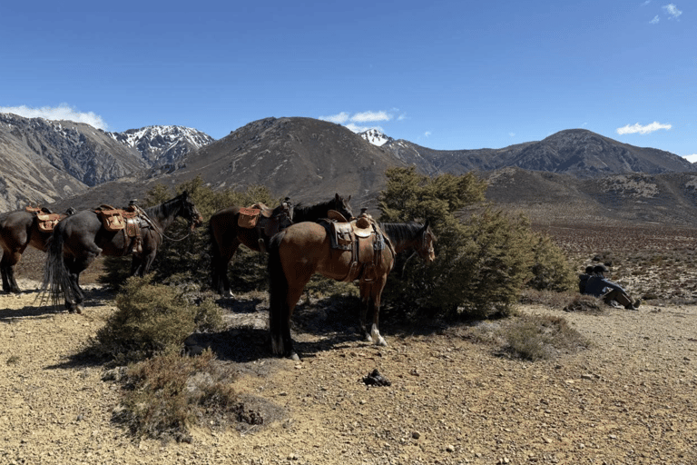 Hanmer Springs: Epic Half-Day Horseback Trekking in St James