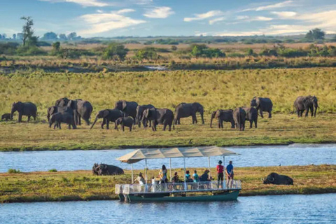 Livingstone: Full-Day Chobe Safari, Boat Cruise & Game Drive