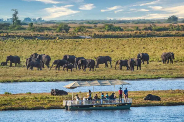 Livingstone: Full-Day Chobe Safari, Boat Cruise & Game Drive