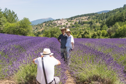 Van Avignon: lavendeltour van een halve dag door de LuberonVan Avignon: lavendeltour van een halve dag in de ochtend door de Luberon