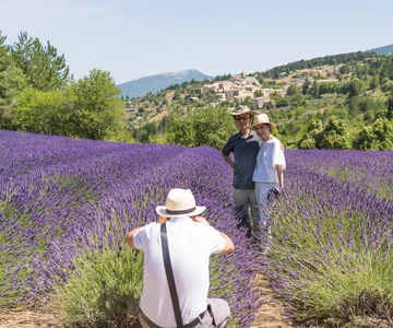 Desde Aviñón: Tour de medio día por la lavanda del Luberon