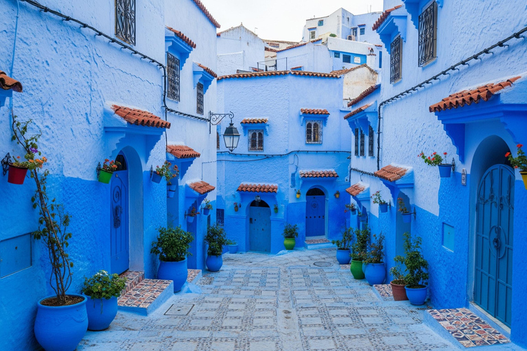 从丹吉尔出发：舍夫沙万一日旅行（含酒店接送）