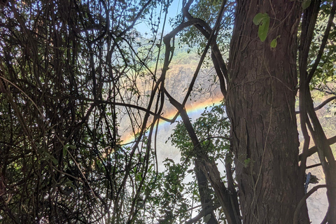 Victoria Falls: Historic Town Tour, Big Tree & Guided Walk