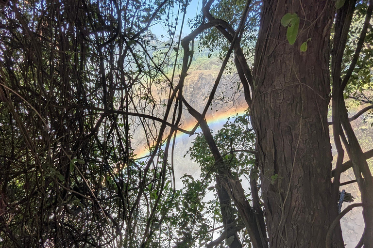 Victoria Falls: Historic Town Tour, Big Tree & Guided Walk