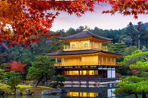 Kyoto & Nara Private Tour with English Speaking Guide