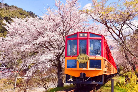 Hozugawa River Cruise & Sagano Train Experience Depart From Kyoto 9:20AM