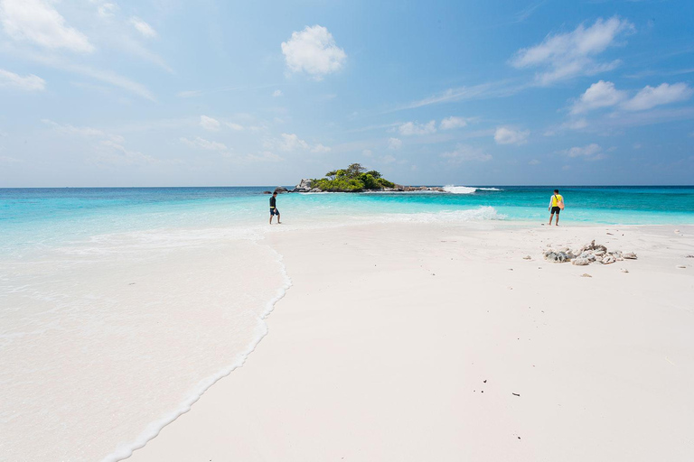 Phuket Dolfijn Zoektocht: Expeditie naar Racha &amp; Maiton eiland