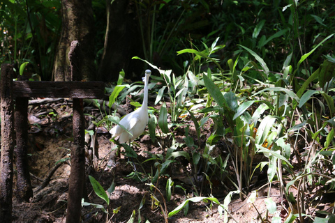 De kleine Amazone van Khao Lak: Dagtrip kano, trektocht en waterval