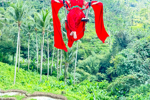 Ubud Waterfall, Temple, Rice Terrace & Art with Transfers