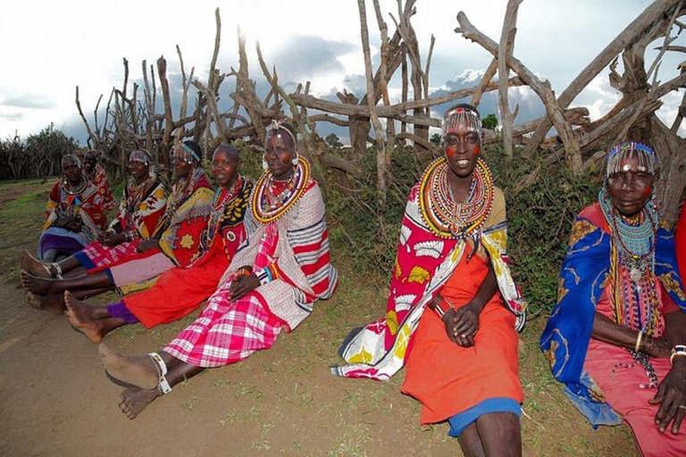 EXCURSION D&#039;UNE JOURNÉE DANS UN VILLAGE MASAI