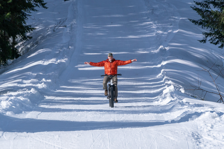 Chambéry : Electric Mountain Bike rentalChambéry : Uthyrning av elektrisk mountainbike