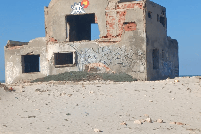Djerba: excursão de um dia de descoberta &quot;Space Invaders&quot; TunísiaDjerba: viagem de um dia &quot;Space Invaders&quot; Tunísia