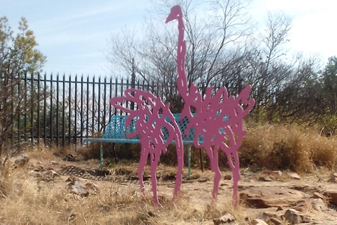 Joanesburgo: Caminhada na Reserva Natural The WildsJoanesburgo: Caminhada pela Reserva Natural The Wilds