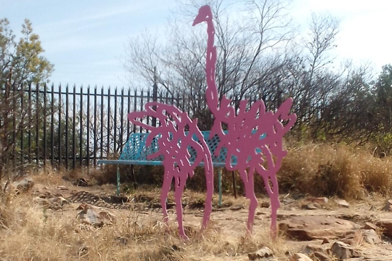 Joanesburgo: Caminhada na Reserva Natural The WildsJoanesburgo: Caminhada pela Reserva Natural The Wilds