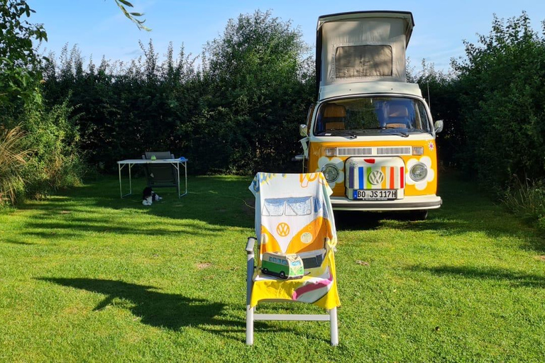 VW T2 Camper/Bulli rental for 2 days