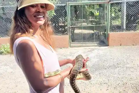 Safári no pântano e excursão de um dia à Casa Grande de Rose Hall