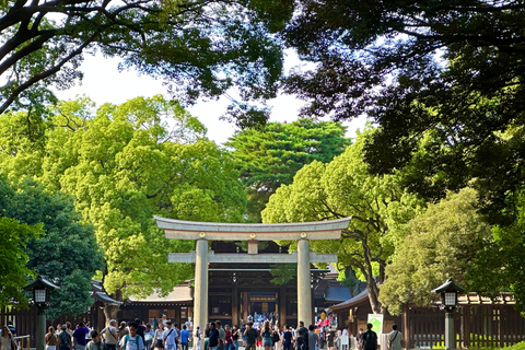 Tokyo : Visite guidée matinale avec guide anglophoneTokyo : Visite matinale