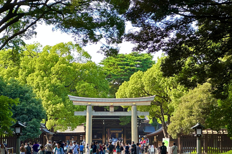 Tokyo : Visite guidée matinale avec guide anglophoneTokyo : Visite matinale