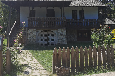 Visita panorâmica de Bucareste com três paragens e duas visitas.