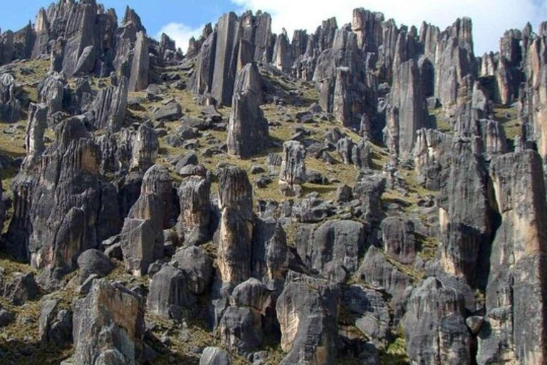 Depuis Arequipa - Excursion aux chutes d&#039;eau de Pillones - Journée complète