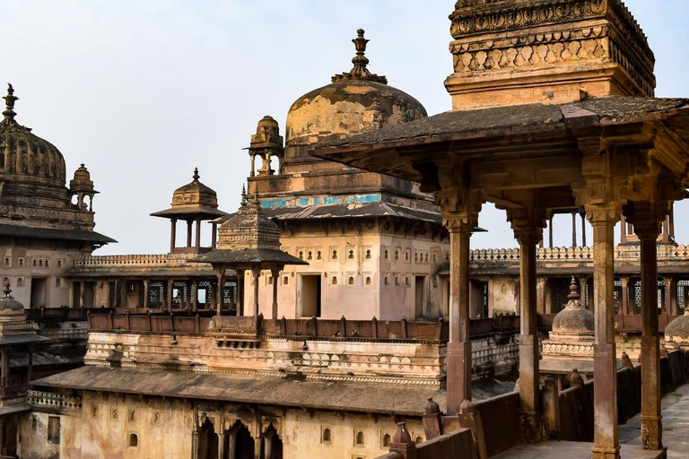 Utforska kungliga Rajasthan: 9 dagar Jaipur till Udaipur med guideUtforska kungliga Rajasthan: 9 dagar från Jaipur till Udaipur med guide