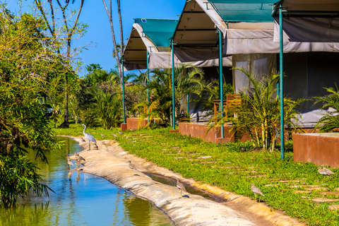 Exploring Nature's Treasures: A Private Day Trip in Diani Exploring Nature's Treasures: A Day Trip in Diani