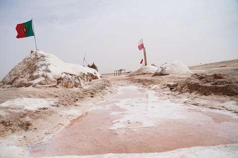 Tunis: South Tunisia Tour with Luxury Desert Bivouac Stay