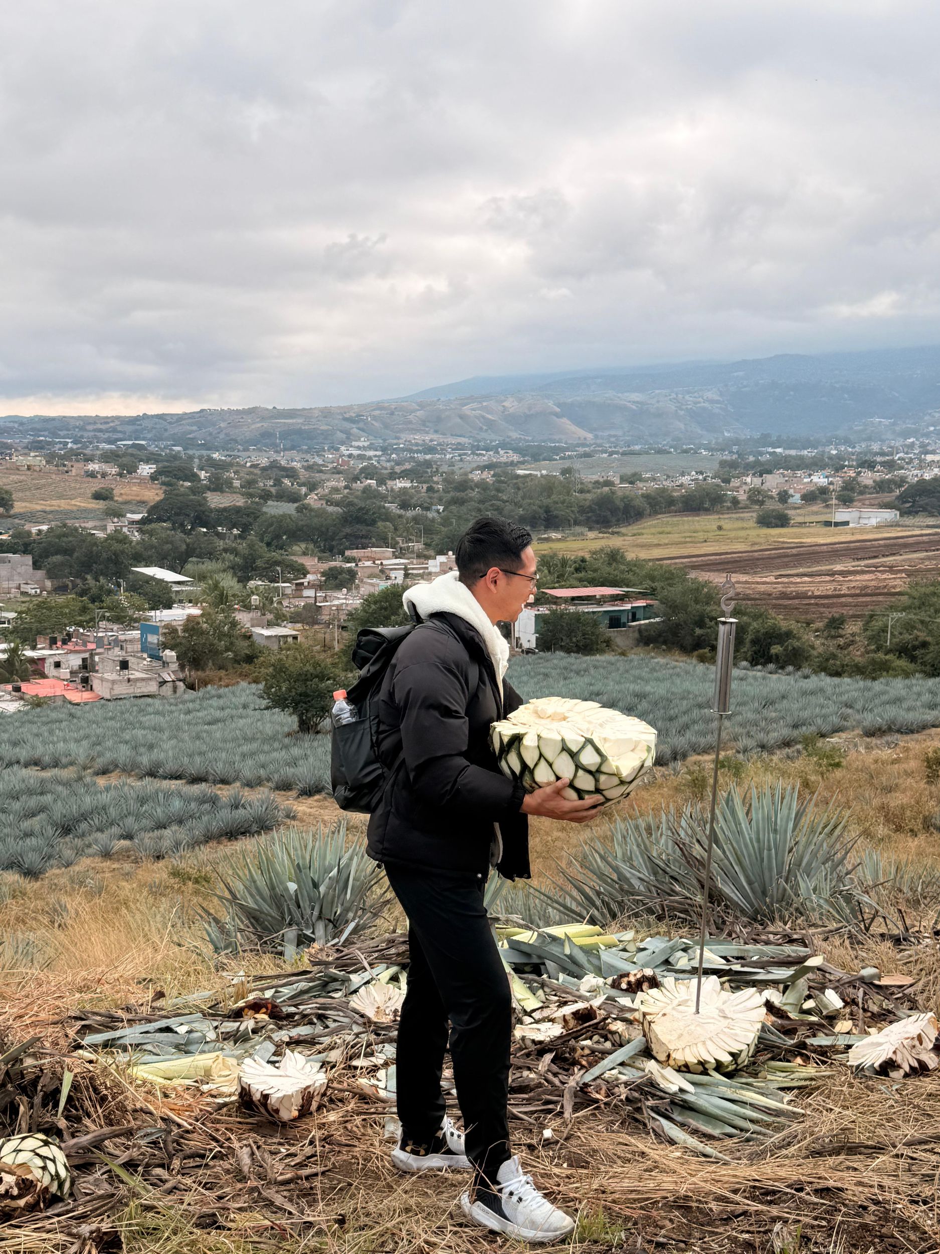 Tequila, Jalisco: Führung und Herstellungsprozess