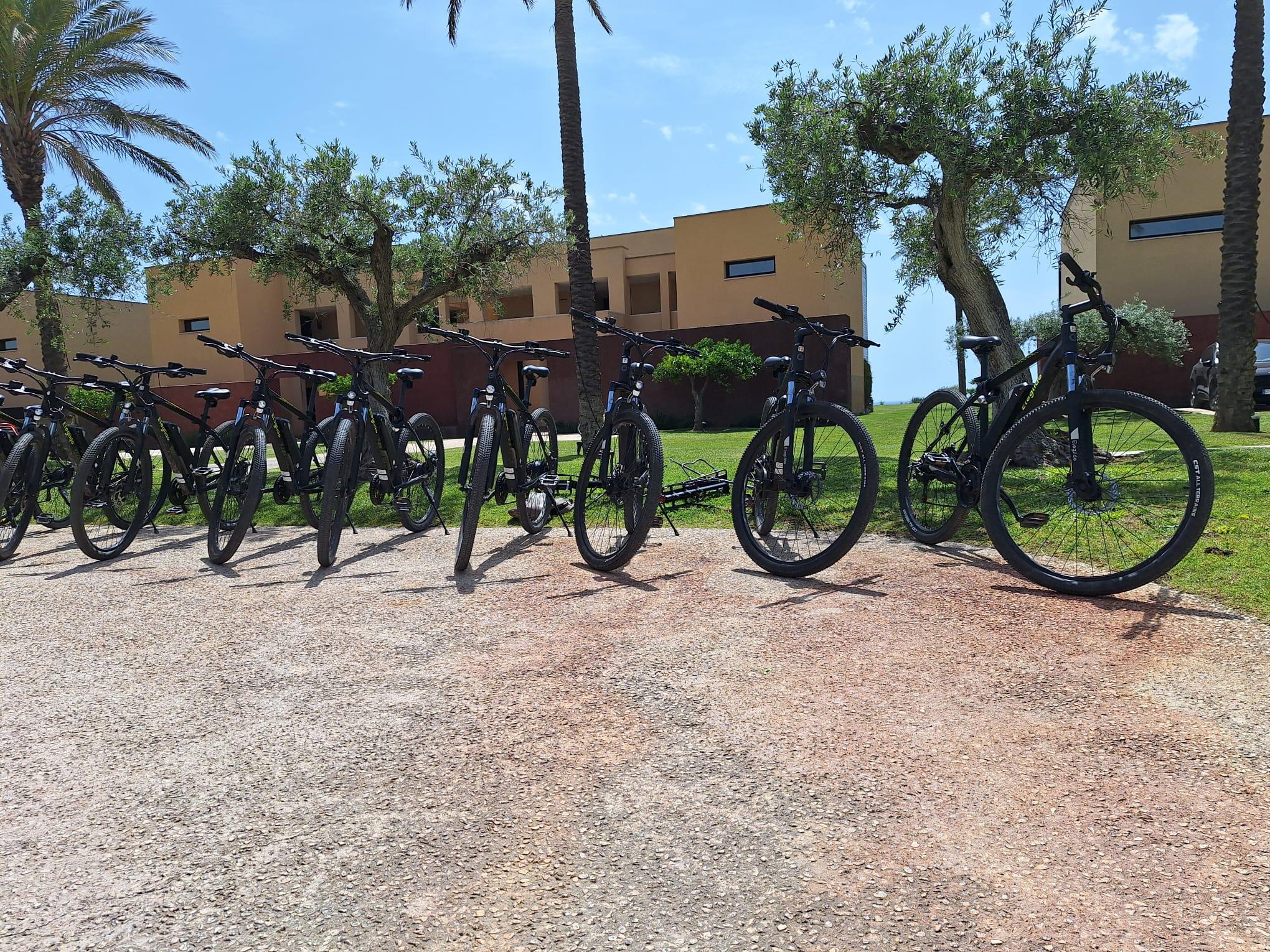 Valle del Belice: E-Bike-Verleih für selbstgeführte Touren