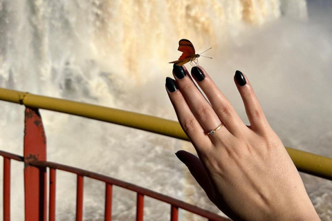 Brazil Iguazu Falls: Private Tour & Optional Macuco Safari Iguazu Falls BR: Private Tour and Optional Macuco Safari