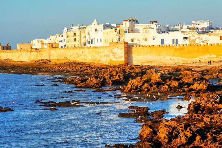 From Marrakesh: Essaouira Full-Day TripPrivate Tour