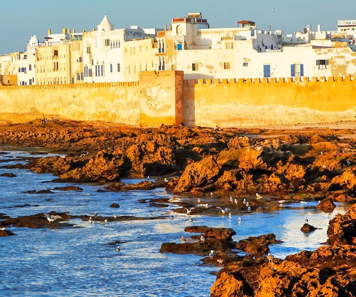 Essaouira: escursione di un giorno da Marrakech