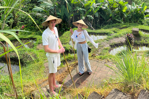 Ubud: Private Half-Day Tour Rice Terrace, Temple & Waterfall Private Half-Day Tour (With Entrance Tickets)