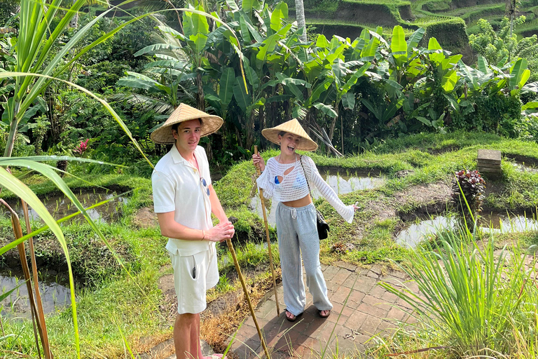 Ubud: Private Half-Day Tour Rice Terrace, Temple & Waterfall Private Half-Day Tour (With Entrance Tickets)