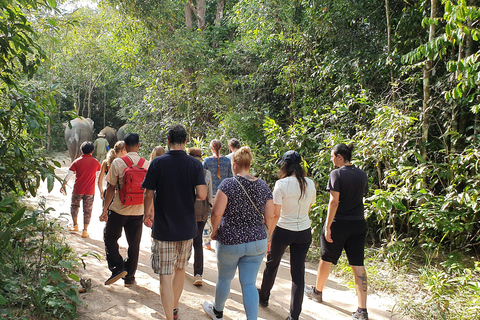 Kulen Elefantskog &amp; TonlesapsjönKulen Elefantskog av Sharing Group Tours