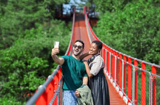 Seoul: DMZ-Tour mit JSA-Museum, Überläufer und Option Rote Brücke