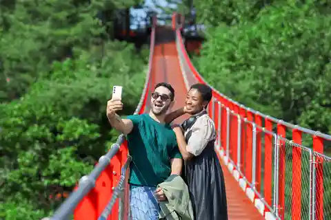 Seúl: Visita a la DMZ con Puente Colgante y Góndola opcionales
