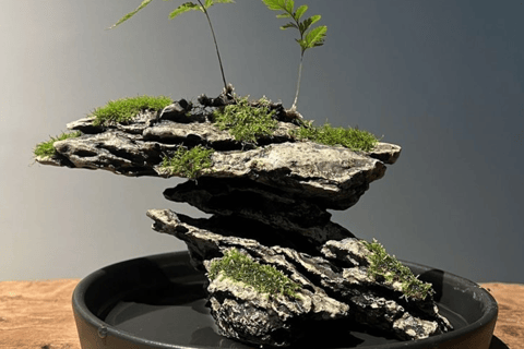 Guangzhou: Mini Landscape Bonsai Making Experience