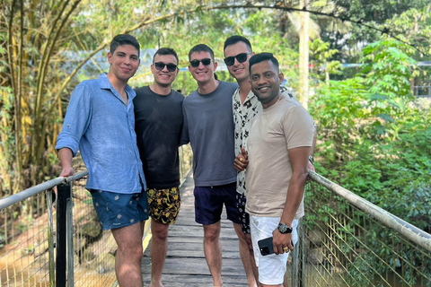 Colombo to Pinnawala & Kandy – Private Cultural Day Tour